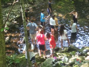 Some of the campers chose to cool off in Northgate Falls